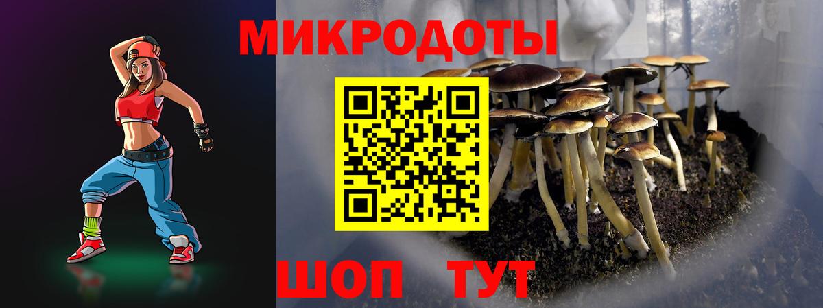 Псилоцибиновые грибы Psilocybine cubensis  Вход с VPN  Галлюциногенные грибы Psilocybine cubensis  Луга 